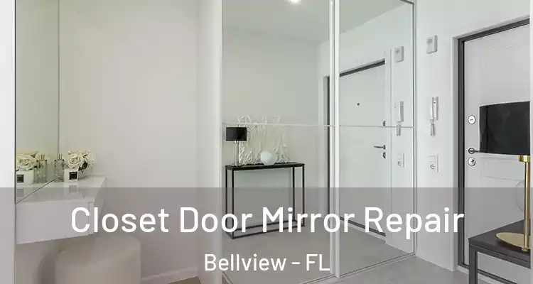 Closet Door Mirror Repair Bellview - FL