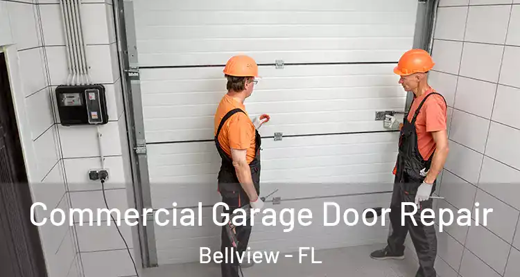 Commercial Garage Door Repair Bellview - FL