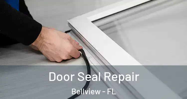 Door Seal Repair Bellview - FL