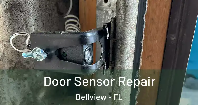 Door Sensor Repair Bellview - FL