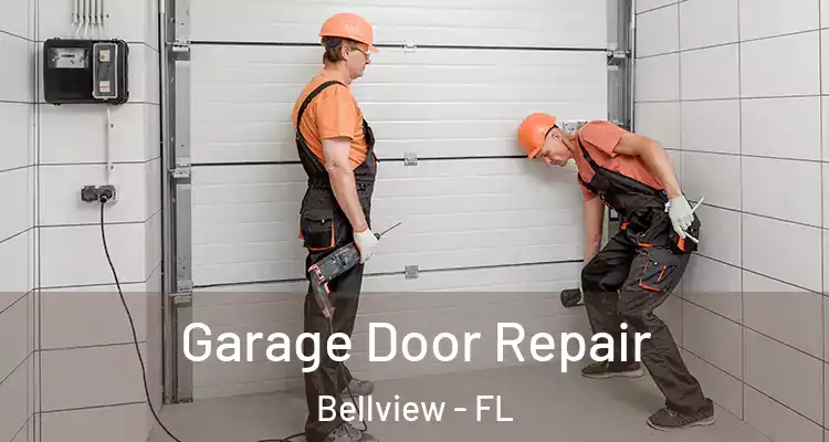 Garage Door Repair Bellview - FL