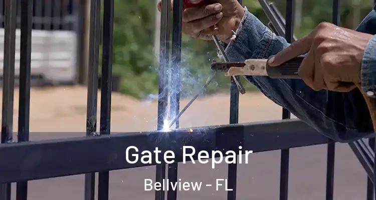Gate Repair Bellview - FL
