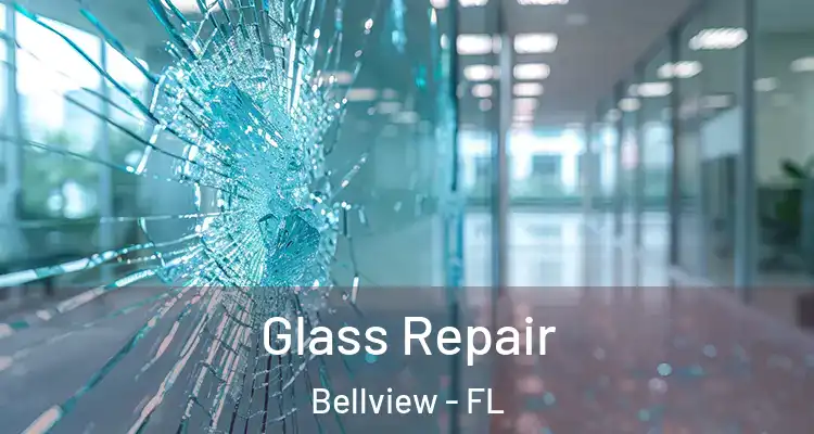 Glass Repair Bellview - FL