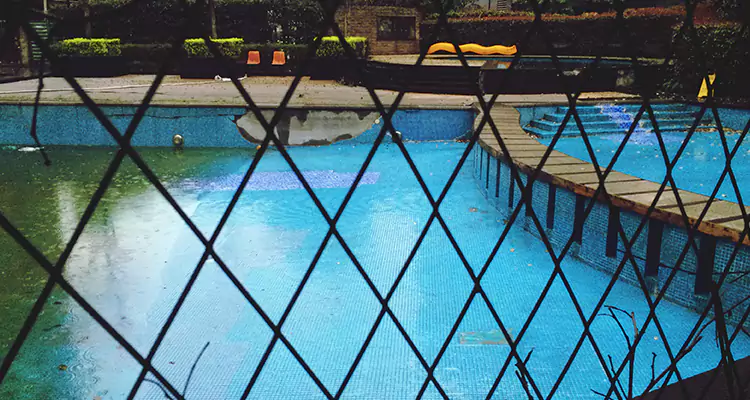 Lanai Screen Repair in Bellview, FL