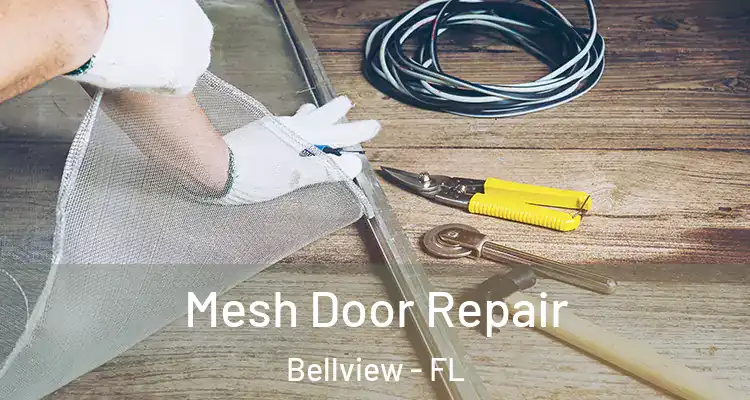 Mesh Door Repair Bellview - FL