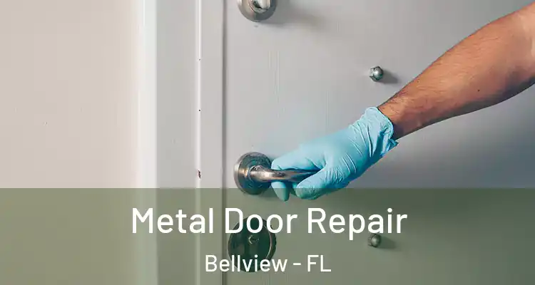 Metal Door Repair Bellview - FL
