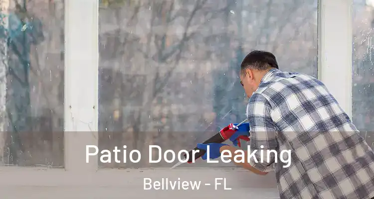 Patio Door Leaking Bellview - FL