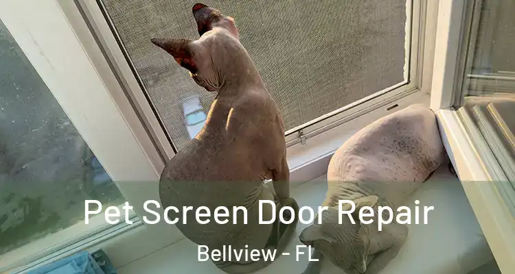 Pet Screen Door Repair Bellview - FL