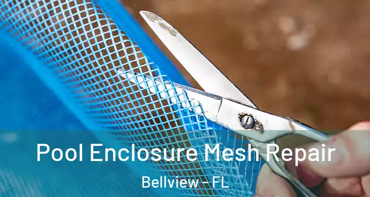 Pool Enclosure Mesh Repair Bellview - FL
