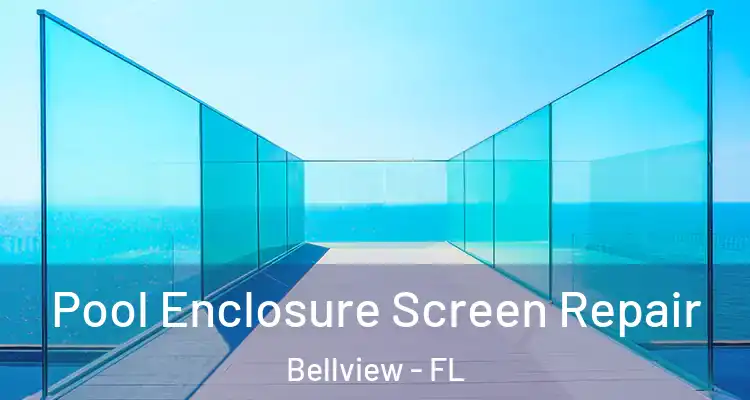 Pool Enclosure Screen Repair Bellview - FL