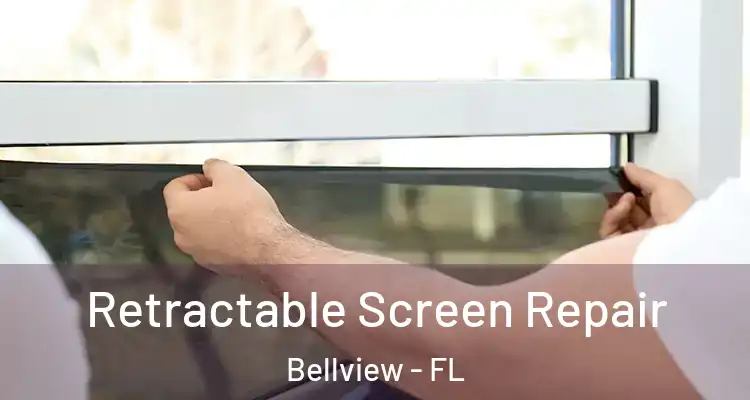 Retractable Screen Repair Bellview - FL