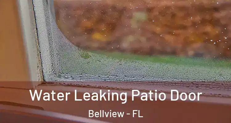 Water Leaking Patio Door Bellview - FL