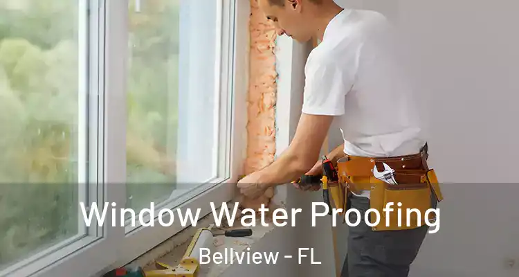 Window Water Proofing Bellview - FL